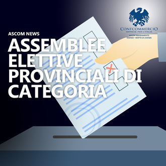 ASSEMBLEE ELETTIVE PROVINCIALI DI CATEGORIA